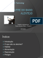 O Abutre