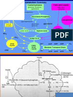 Metabilisme Lipid 210126