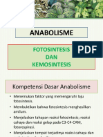 Fotosintesis I