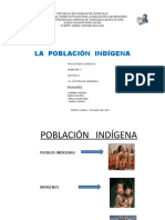 Poblacion Indigena Venezolana