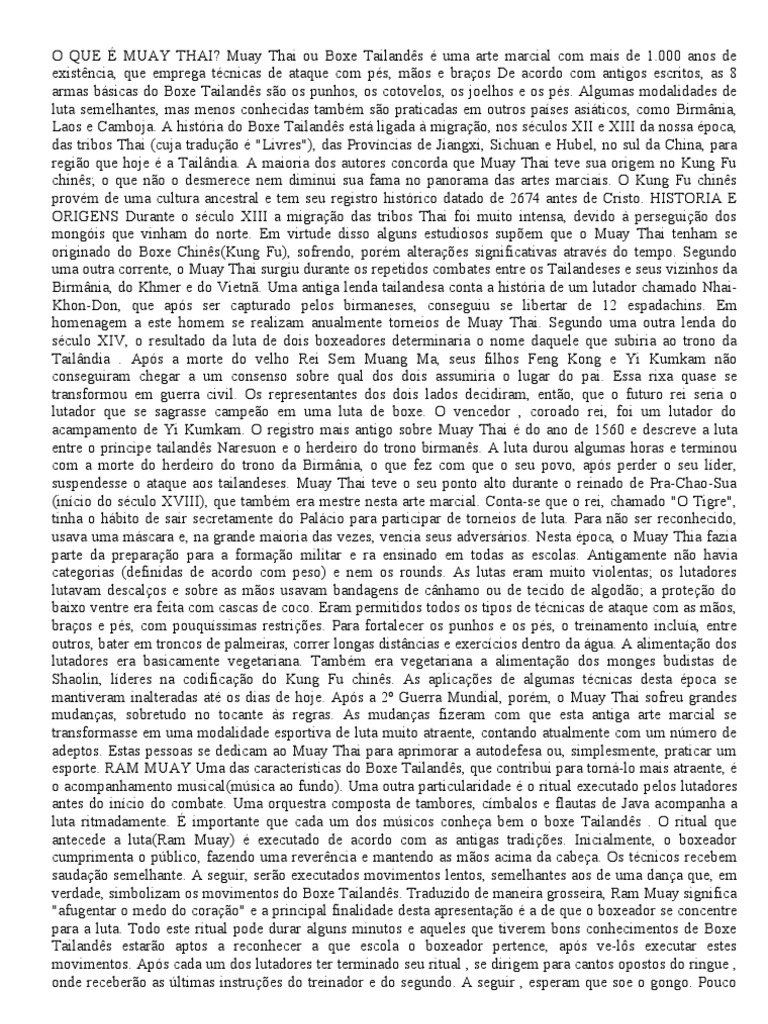 MUAY THAI O QUE PRECISA intelligence overview