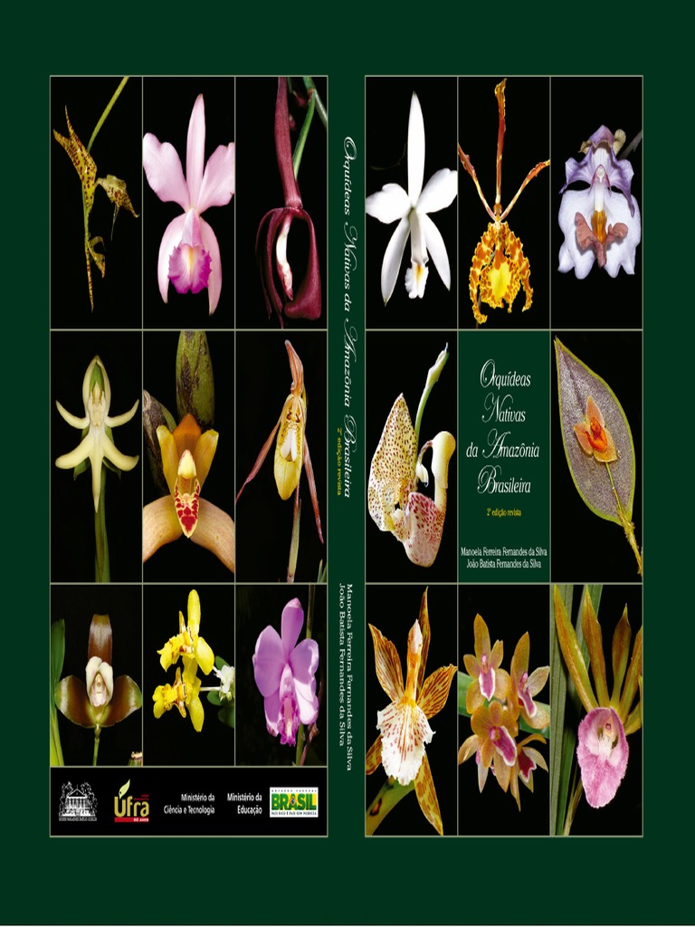 Orquideas Nativas Da Amazonia Brasileira II | PDF | Orchidaceae | Jardinagem