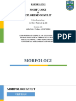 Morfologi & Efloresensi Kulit