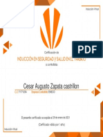 INDUCCIÓN A CONTRATISTAS (CELSIA) 2021 - Certificado