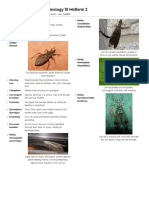 UCR Entomology 10 Midterm 2 Study Guide