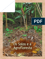 Solos Agrofloresta