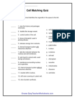 Cell Matching Quiz: Directions