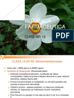 Curs 14 Botanica Clasa Liliatae