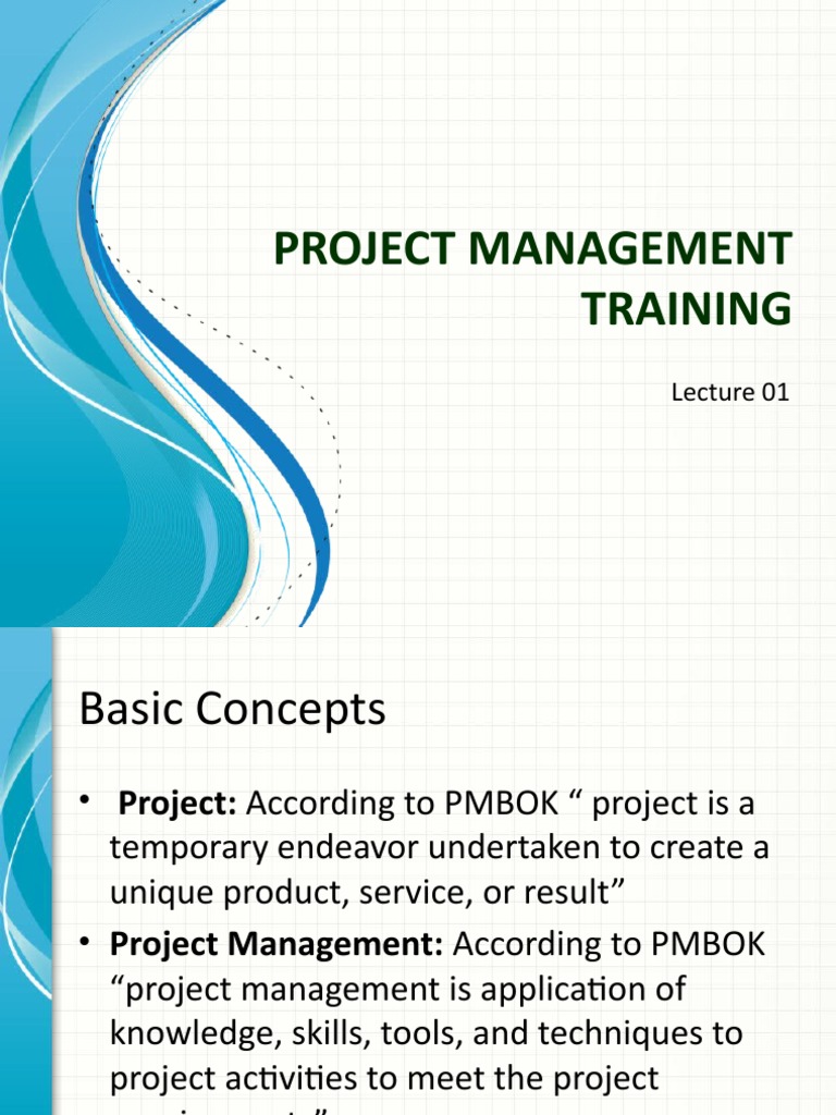 Project Management Training Basics | PDF | Project Management ...