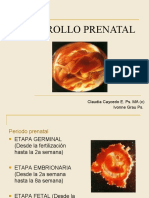 Desarrollo Prenatal1