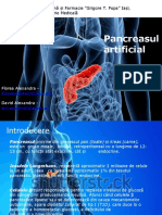 Pancreas Artificial