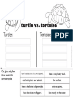 Turtle vs. Tortoise