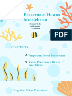 Ari Ramdan - 1182060019 - Sistem Pencernaan Hewan Invertebrata