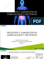 Digestion Aminoacidos Proteinas Finalizado