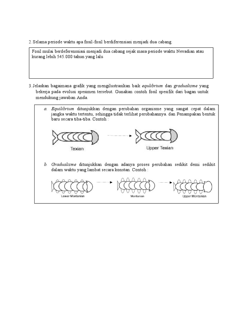 Diferensiasi Fosil: Equilibrium vs Gradualisme | PDF