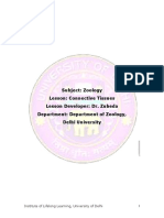 Connective Tissues Lesson: Key Cells and Functions