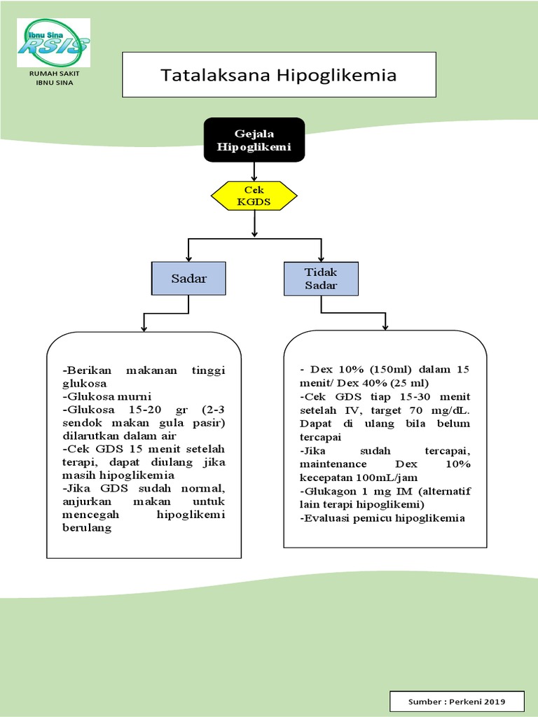 Algoritma Hipoglikemia | PDF