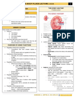 Analysis of Urine & Body Fluids Lecture - : Sison The Kidney Anatomy