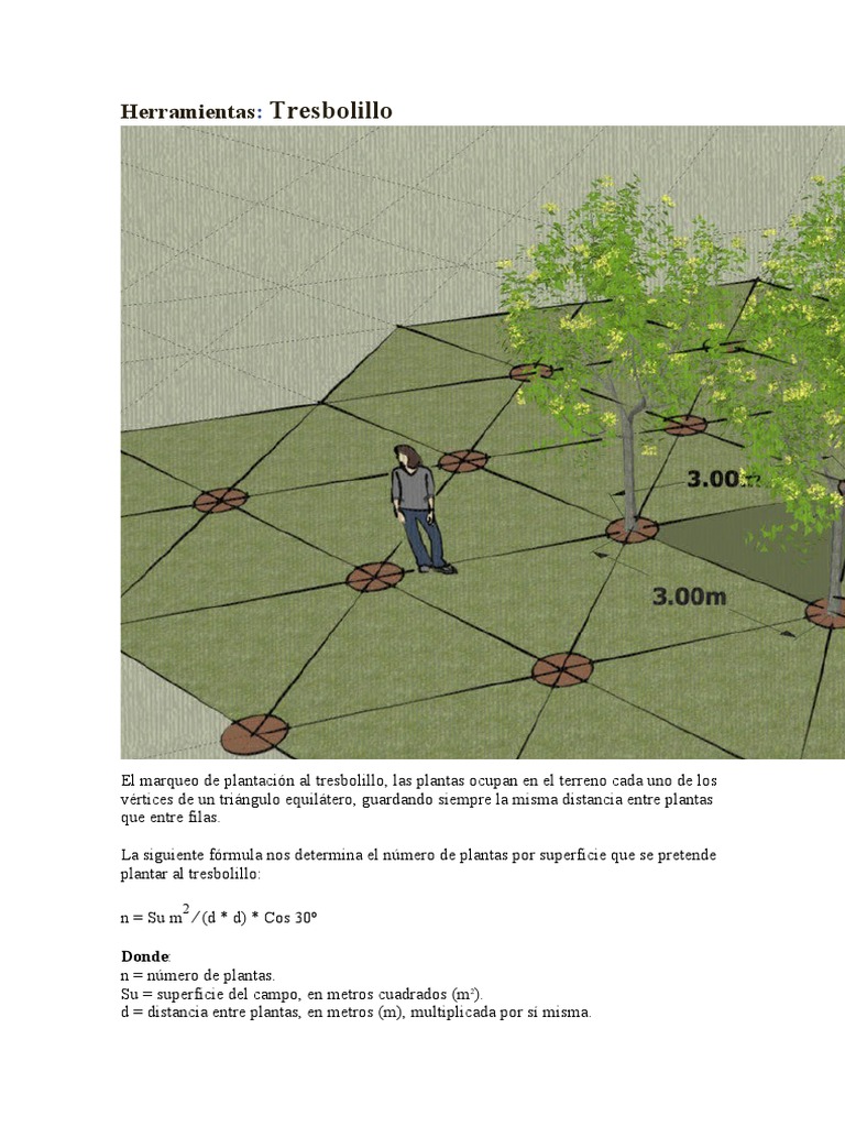 siembra-y-c-lculo-en-tresbolillo-pdf-tri-ngulo-ense-anza-de