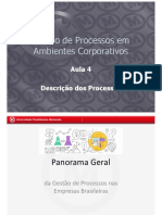04 GPAC - Descrição Dos Processos PDF