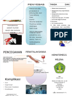 PDF Leaflet HM DD Dikonversi