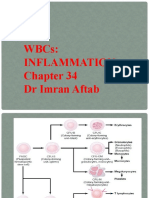 WBCS: Inflammation DR Imran Aftab