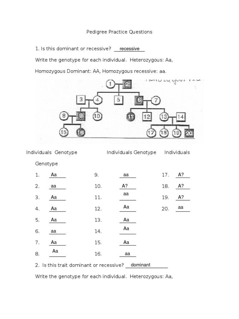 Pedigree Genetics Practice Questions | PDF | Zygosity | Dominance ...