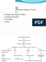 Patofisiologi Typhoid