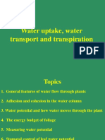 Week 4- Water uptake, water transport and transpiration