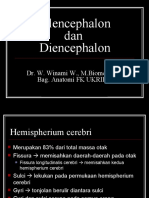 Kuliah 3 - Hemispherium Cerebri