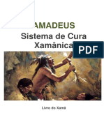 Amadeus - Sistema de Cura Xamânica - Fernanda Kriger