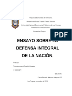 Ensayo Defensa Integral CARLOS MARQUEZ 037