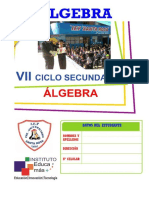 Álgebra VII Ciclo 2020