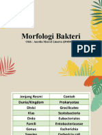 Morfologi Bakteri - Aurelia Marcel Linarta - 204840103