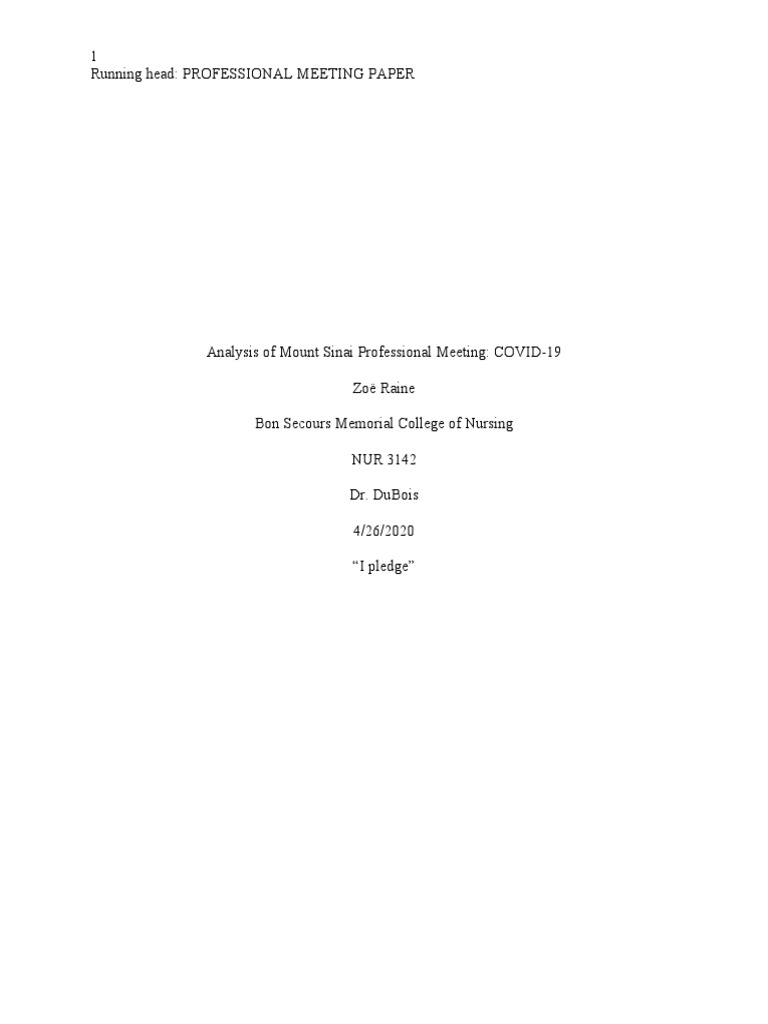 Professional Meeting Paper | PDF | Health Care | Hospital