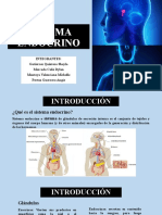 EXPOSICIÓN. Sistema ENDOCRINO