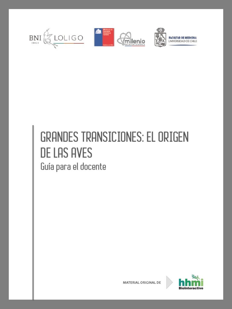 El Origen de Las Aves Guia Docente PDF Dinosaurios Aves