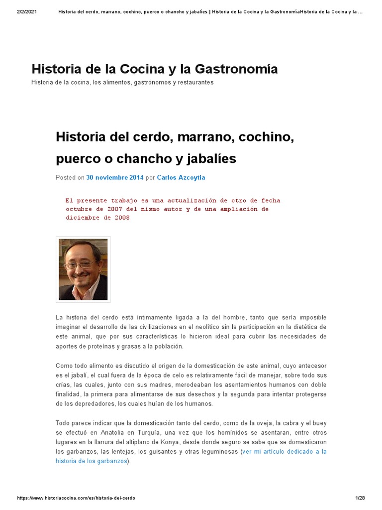 Historia Del Cerdo, Marrano, Cochino, Puerco o Chancho y Jabalies | PDF ...