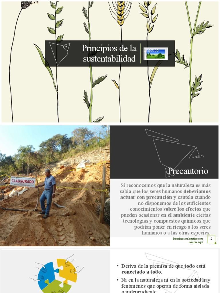 Principios Clave de la Sustentabilidad | PDF | Naturaleza | Ecosistema
