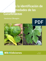 Cucurbitaceas Enfermedades Identificacion Inta