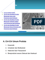 Protista