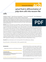 Role of Cerebrospinal Fluid in Differentiation of Human Dental Pulp Stem Cells Into Neuron-Like Cells