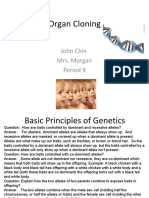 Organ Cloning: John Chin Mrs. Morgan Period 9