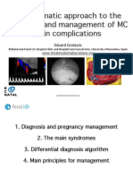 systematic Approach twin pregnancy - Spain