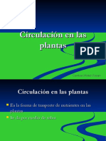 circulacindelasplanta (2)