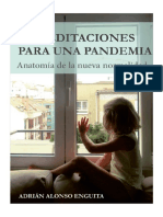 Alonso Enguita, Adrián - Meditaciones para una pandemia