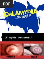 Download Chlamydia by Elizabeth Quiones SN49355615 doc pdf