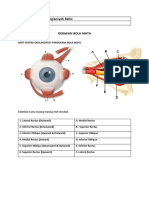 Tugas Sistem Visual 1