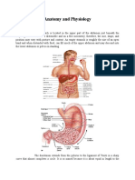 Anatomy of Digestive System