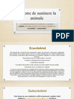 Dokumen - Tips - Sisteme de Sustinere La Animale